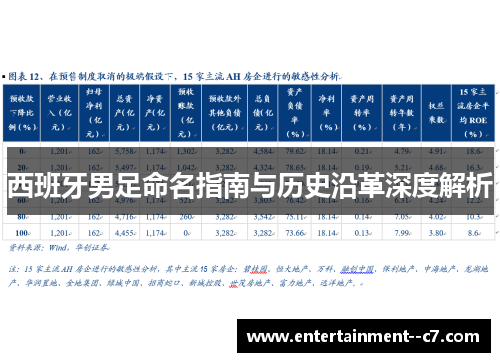 西班牙男足命名指南与历史沿革深度解析