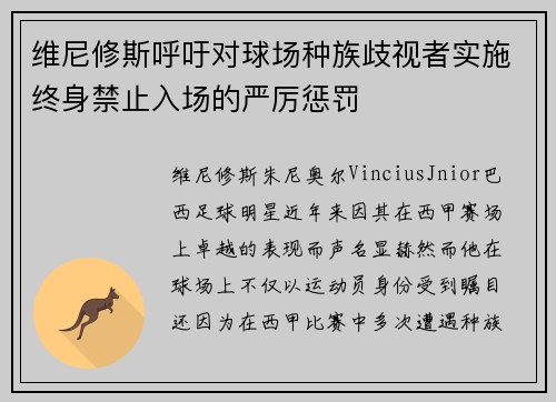 维尼修斯呼吁对球场种族歧视者实施终身禁止入场的严厉惩罚